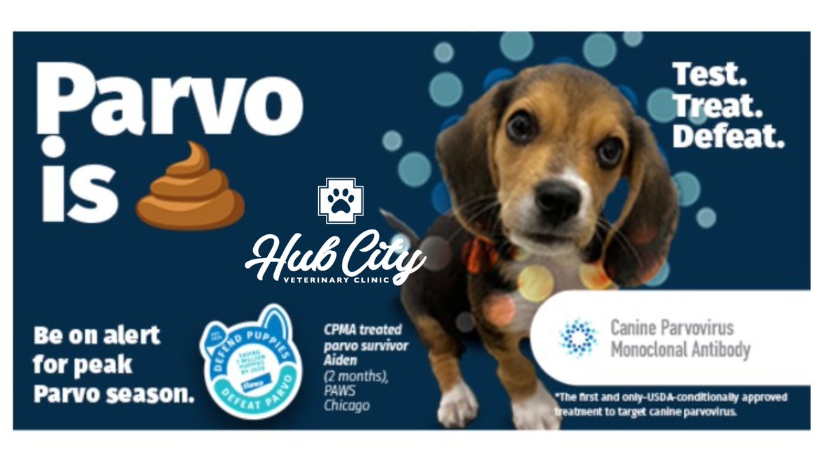 Today is national Parvo Awareness Day. Hub City Vet offers the new Canine Parvovirus Monoclonal Antibody. api.ripl.com/s/ht4zlv #canineparvo #parvosucks #hubcityvetlbk