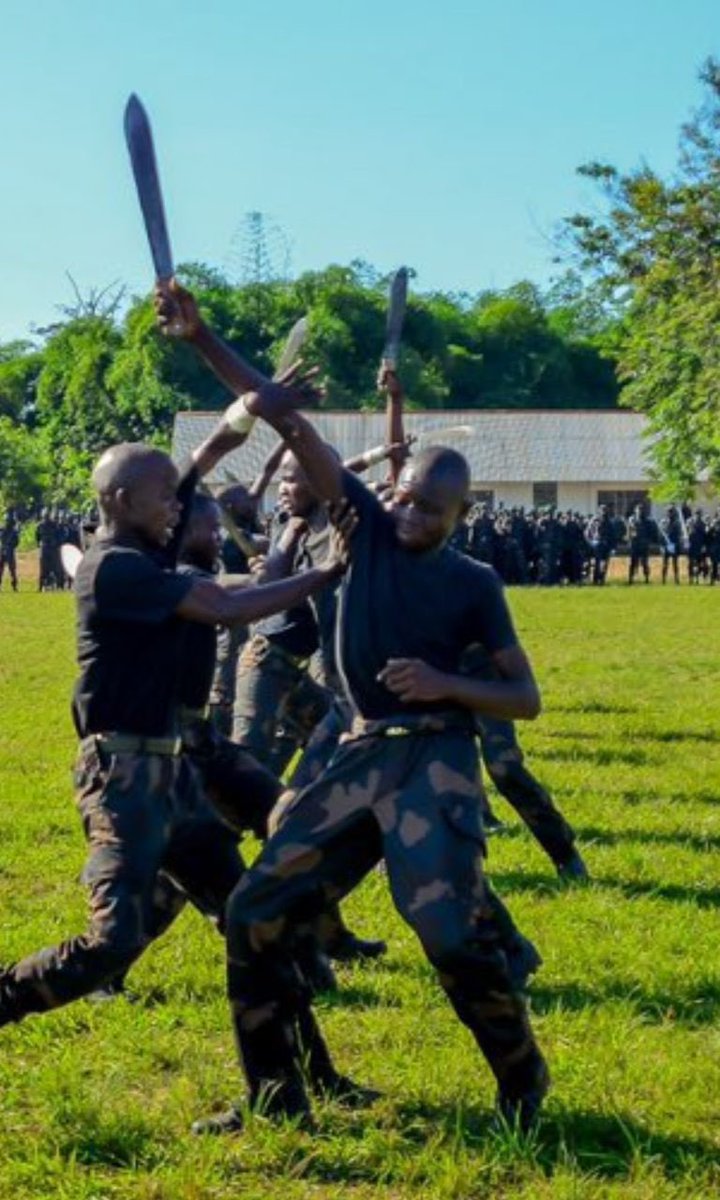 Nyuma y’amakuru y’uko U Burundi bwatumije imohoro myinshi mu bushinwa ngo ihabwe Imbonerakure zijye I Masisi amakuru u Burundi bwahakanye ubu haravugwa ko hari izamaze kugera muri Congo ndetse zitangira imyotozo mu myenda y’ingabo za Congo. Iyi mihoro yaba ariyo yavugwaga