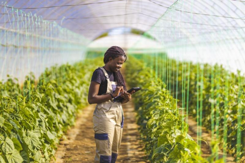 andreabichsel's tweet photo. 🌍 🌱🌾𝐀𝐈 𝐢𝐬 𝐭𝐫𝐚𝐧𝐬𝐟𝐨𝐫𝐦𝐢𝐧𝐠 𝐚𝐠𝐫𝐢𝐜𝐮𝐥𝐭𝐮𝐫𝐞! Exciting insights from World Agri-Tech 2024 in San Francisco where Microsoft and partners showcased AI solutions to boost sustainable farming. With the agriculture tech market set to hit USD 13.8 billion by 2031, the future looks promising. 

➡ https://t.co/PPcu00cmSm 

#AI #Agriculture #Sustainability #Innovation #WorldAgriTech2024 #msftadvocate