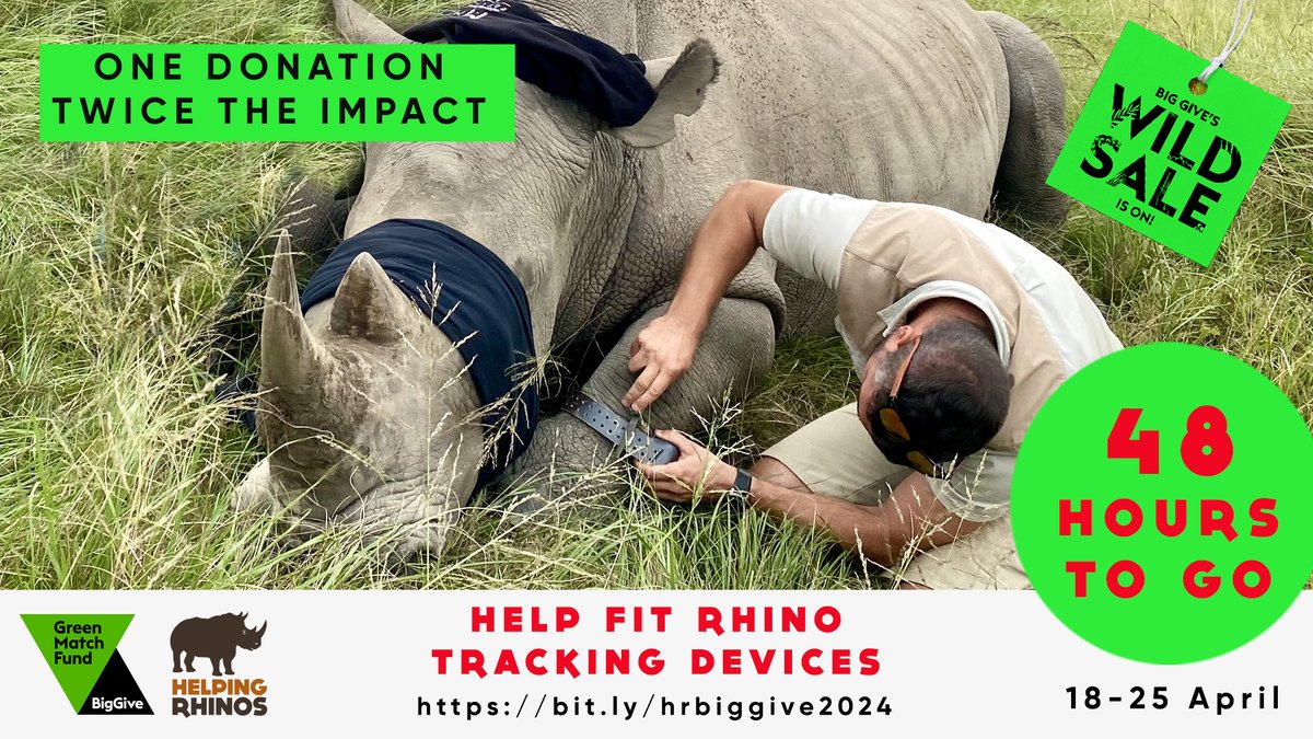 There's now less than 48 hours to donate to our @BigGive Green Match Fund and have your donation DOUBLED 🙌 Help us protect #rhino using state of the art tracking technology 🦏🦏
bit.ly/hrbiggive2024