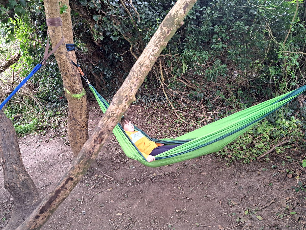 The Butts Primary tweet media