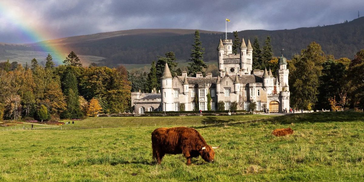 ScotsMagazine's tweet photo. A coo, a castle and a rainbow! What a treat.

Happy #coosday

📷 martinbenniephotography https://t.co/fDI8zqLXuO