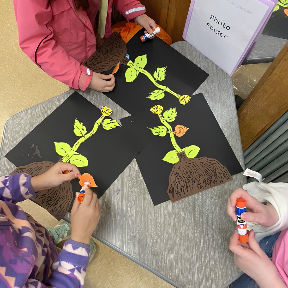 Education and Outreach Coordinator Megan Truesdail, alongside Savanah Dale & Elise Tomaszewski from the Van Eck lab, recently led an exciting program with second-grade classes at Northeast Elementary School, delving into the plant lifecycle using Physalis plants.