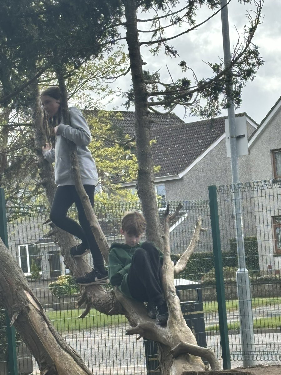 P7 had a wonderful, windy woody play session today! @DycePrimary <a href="/dy_mcknockiter/">Fiona McKnockiter (DY Teacher)</a> <a href="/misssabwatson/">Miss Watson</a>