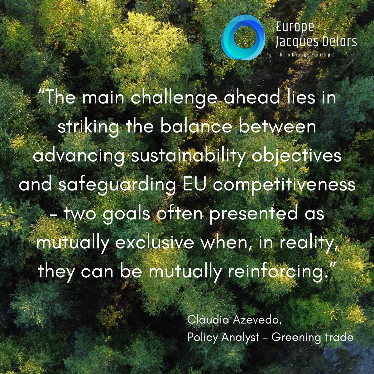 🇪🇺As we approach the #EuropeanElections, our analysts discuss some of the risks that the #GreenDeal may face in the new mandate. 📢Stay tuned for part 2 to read our recommendations for an ambitious #sustainability agenda in the next mandate. 👉europejacquesdelors.eu/news/what-will… #blogpost