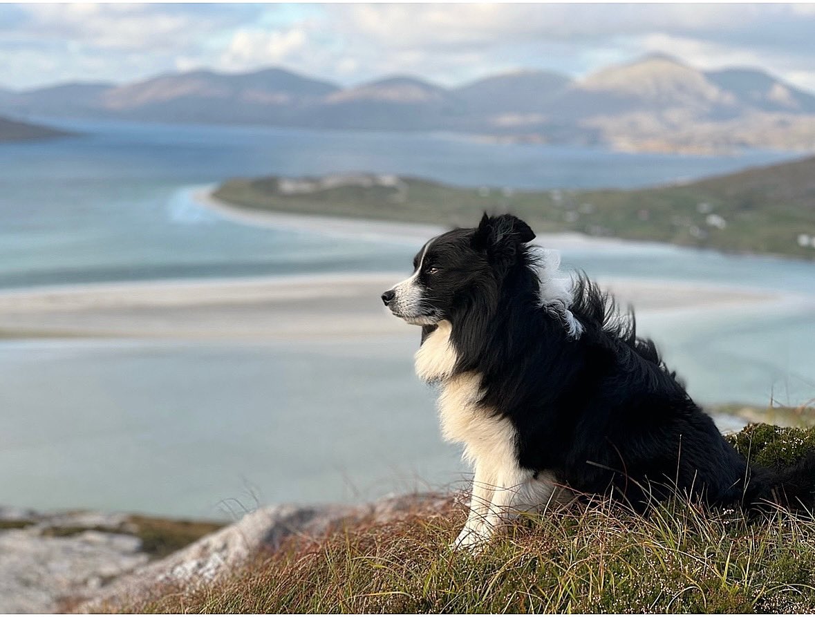 Good for the soul 🌊🙏🐾We spend much time admiring the view … .. Isle of Harris Retreat October 2024 .. Reset ~ Restore ~ Relax 🌊🌊🌊