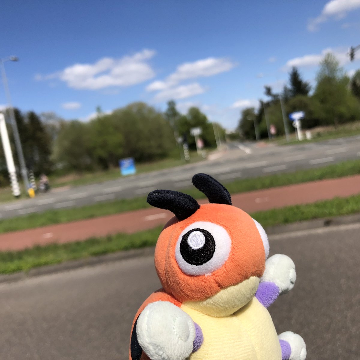 Good morning, dear followers!

#LedybaSnap #PokemonSnap #Pokemon #PokemonGo #Ledyba #Rediba #レディバ #ポケットモンスター #Eindhoven #Veldhoven #Zeelst