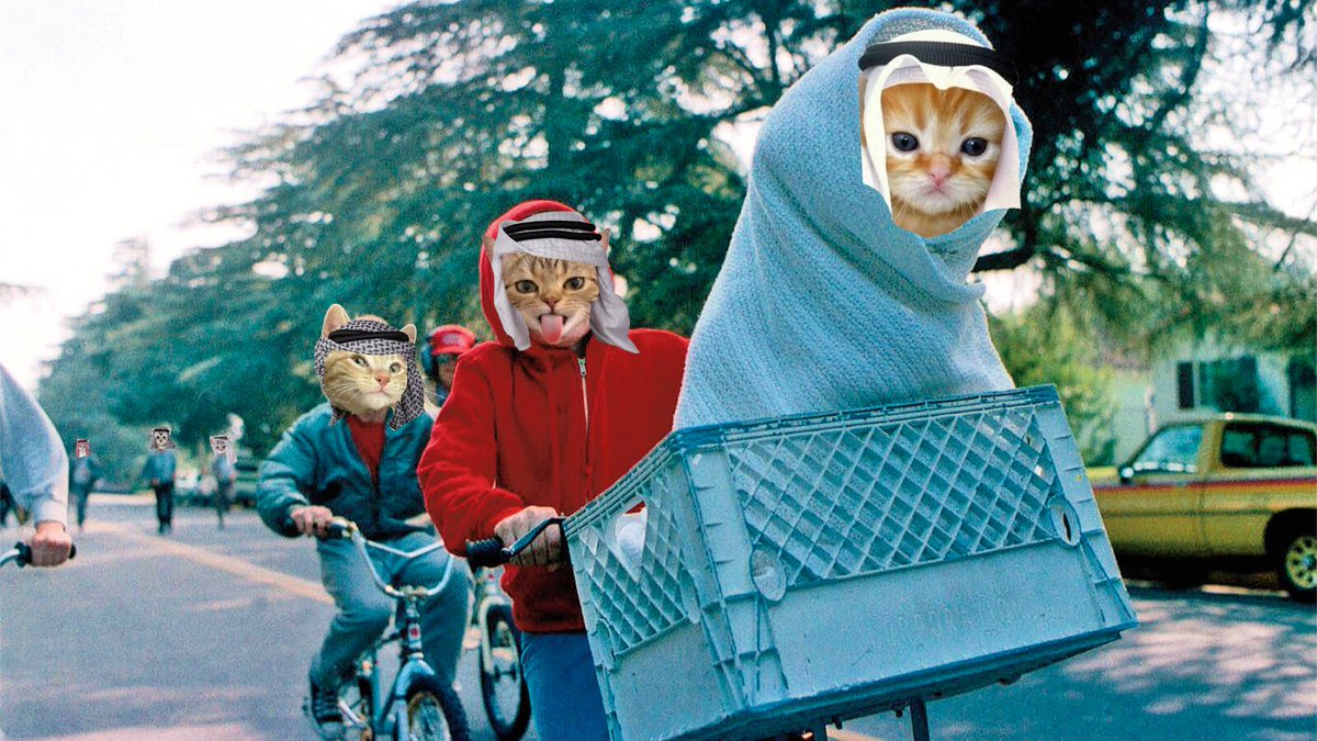 habibihasmoved's tweet photo. Get in loser, we're going to the moon 🚀

$HABIBI https://t.co/X44rnmt4ad