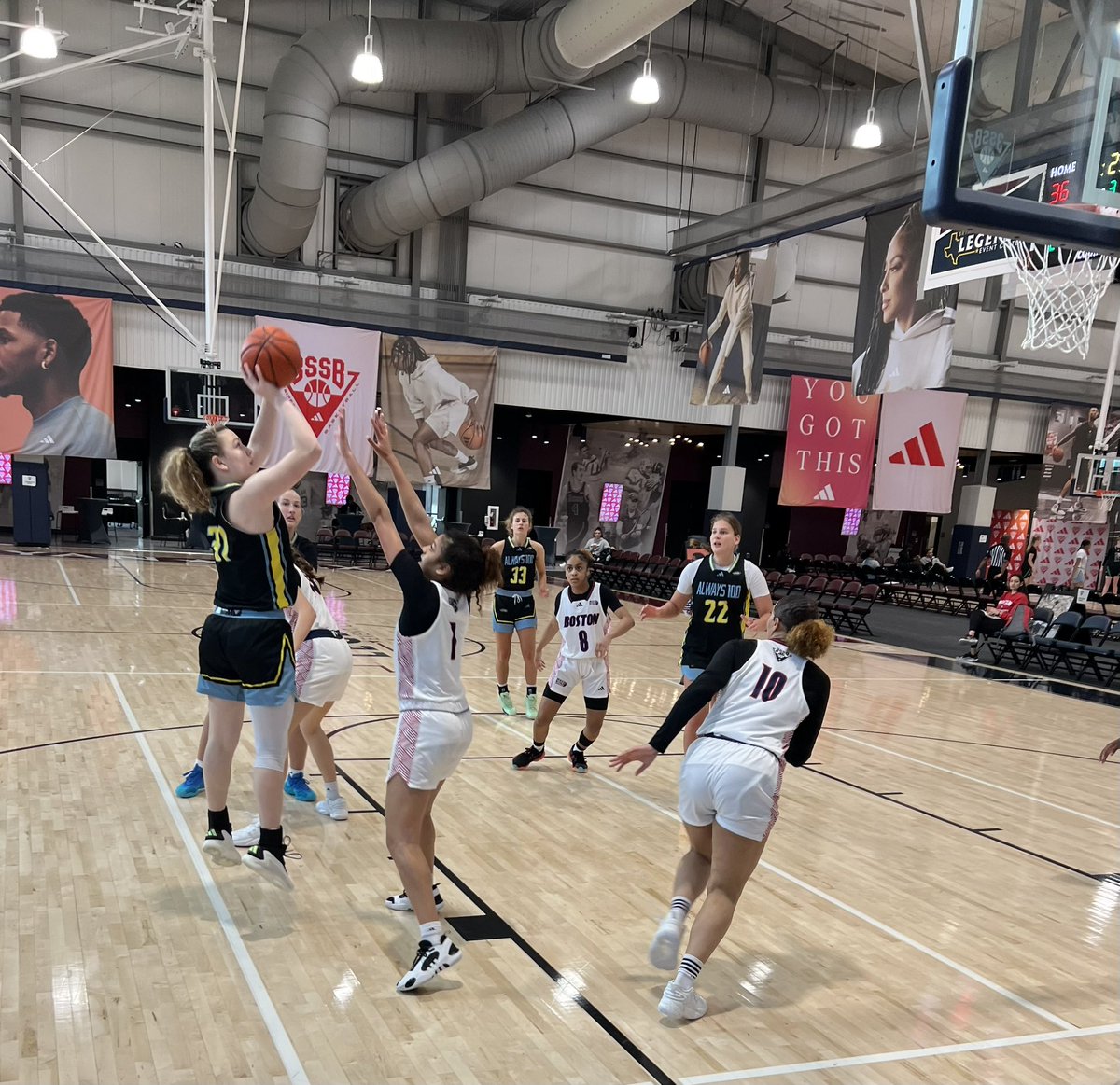 Alan Scheu tweet media