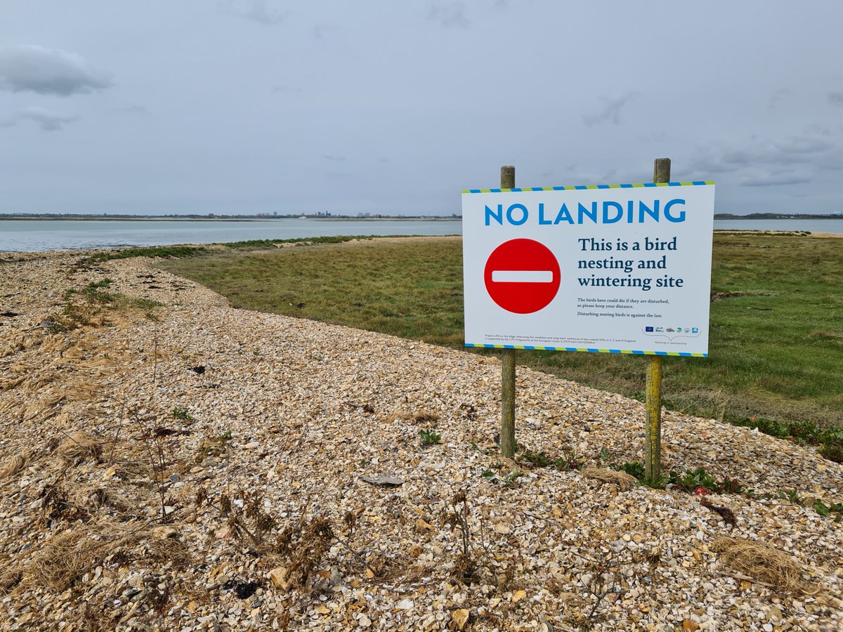 The RSPB have closed the Long Island landing area to protect  nesting birds currently on the shingle. These birds are very vulnerable to disturbance. Nests are monitored by camera.

Thank you for your understanding and help ensuring the future of wildlife in this beautiful area.