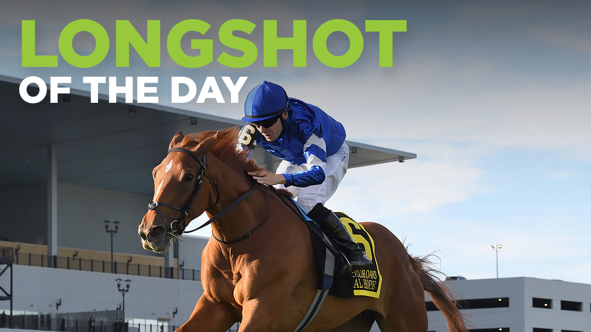 💰 Maximize your winnings with the Longshot of the Day! Check out @failedtomenace pick & strategy for Race 7 at @parxracing 👉 bit.ly/nb_longshot