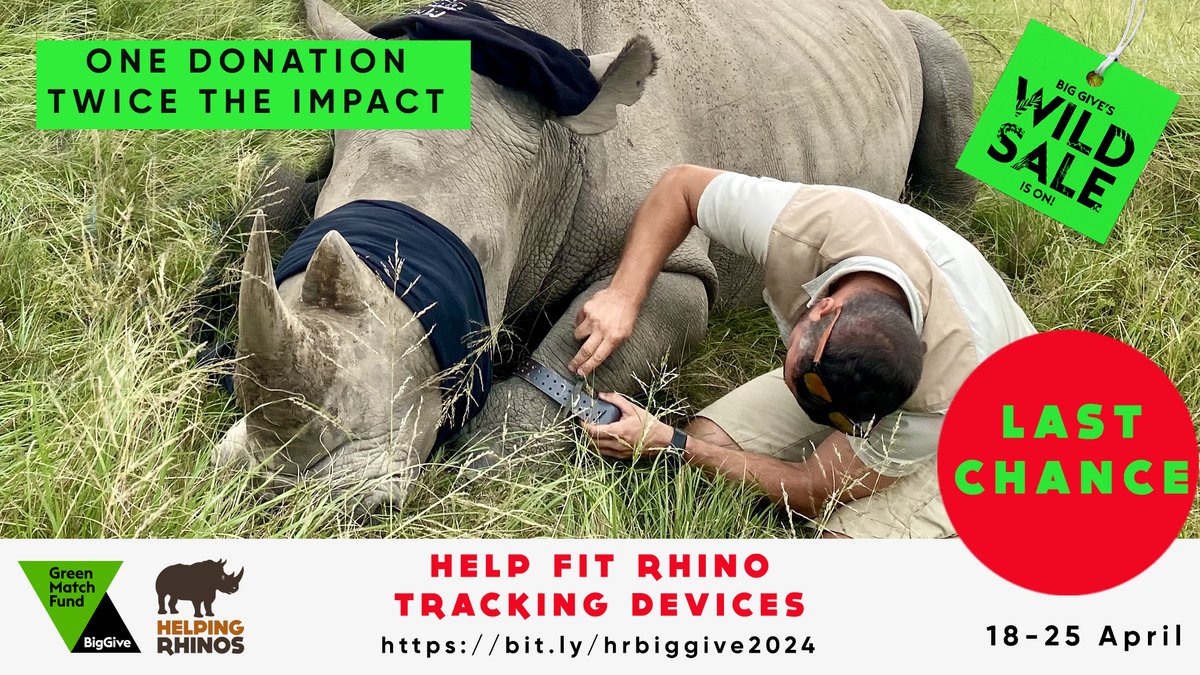 It's the ‼LAST CHANCE‼ to have your donations DOUBLED. Our @BigGive Green Match Fund closes at midday (BST) TODAY. Have TWICE THE IMPACT for rhinos and know you're playing a vital role in keeping rhinos in the Eastern Cape of #SouthAfrica safe 🙏
➡ bit.ly/hrbiggive2024
