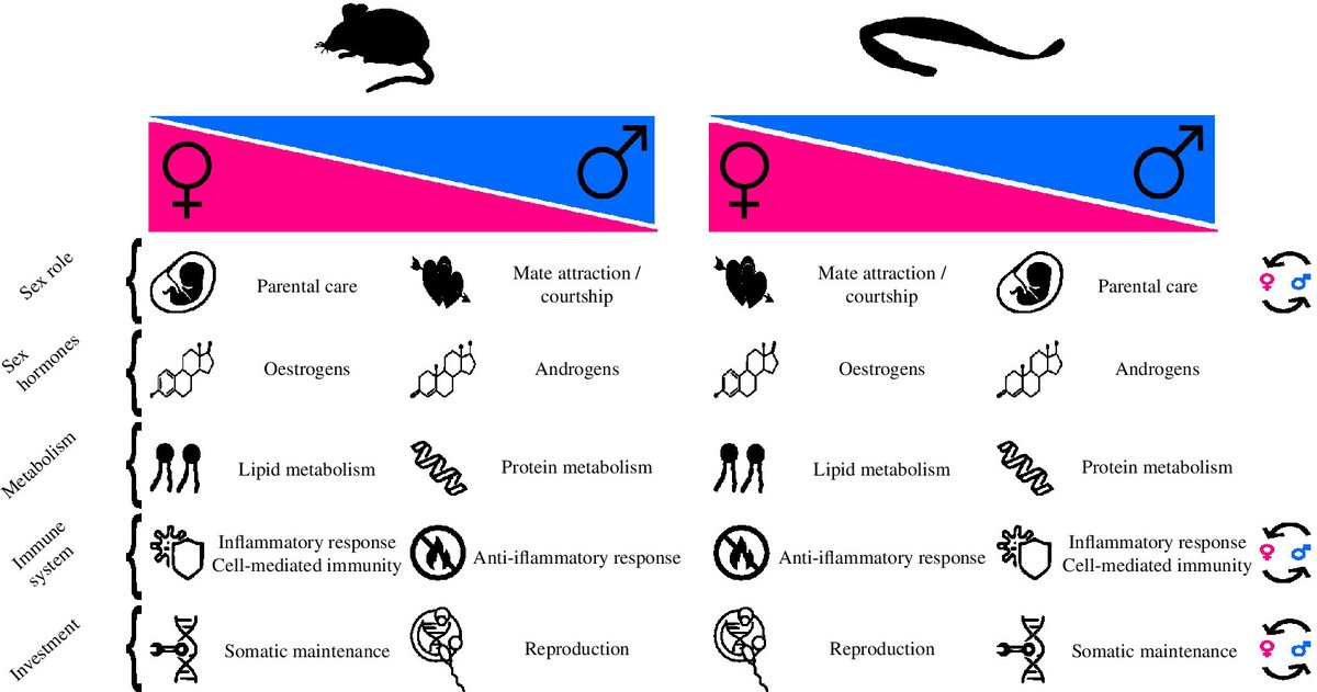 New from #RSOS: Navigating sex and sex roles: deciphering sex-biased gene expression in a species with sex-role reversal. Read the full paper: ow.ly/C3Tm50R8tT3