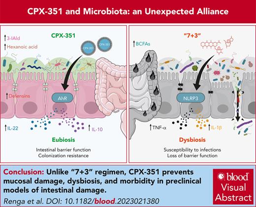 CPX-351 protects via the aryl hydrocarbon receptor–IL-22-IL-10 host pathway and the production of immunomodulatory metabolites by anaerobes. ow.ly/5VkR50Rjcf4 #myeloidneoplasia