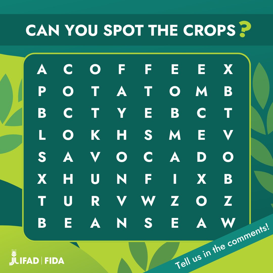 🎉🔠 On this #SpanishLanguageDay, test your skills by solving the puzzle! Find six of the crops cultivated by rural farmers in Spanish-speaking communities supported by IFAD. Their efforts are vital for our global food system!