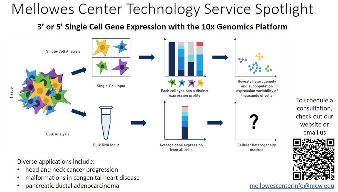 🔬 Want to explore the fascinating world of Single Cell Sequencing (scRNA-Seq)? Look no further! 🌟 Our lab offers this cutting-edge service to unveil the secrets of individual cells. Contact us today to discover how your research can benefit!🧬#SingleCellSequencing #scRNASeq