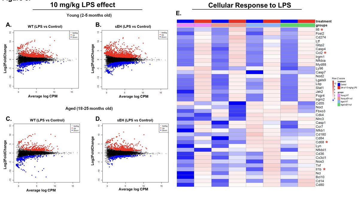 #ArticlesInPress: Cardioprotective Response and #Senescence in Aged sEH Null Female Mice Exposed to LPS
Ala Yousef et al.
ow.ly/lzhP50Rmggg
 @JSeubert5  @deanna_sos @UAlberta
#Aging  #SolubleEpoxideHydrolase  #Female  #Heart