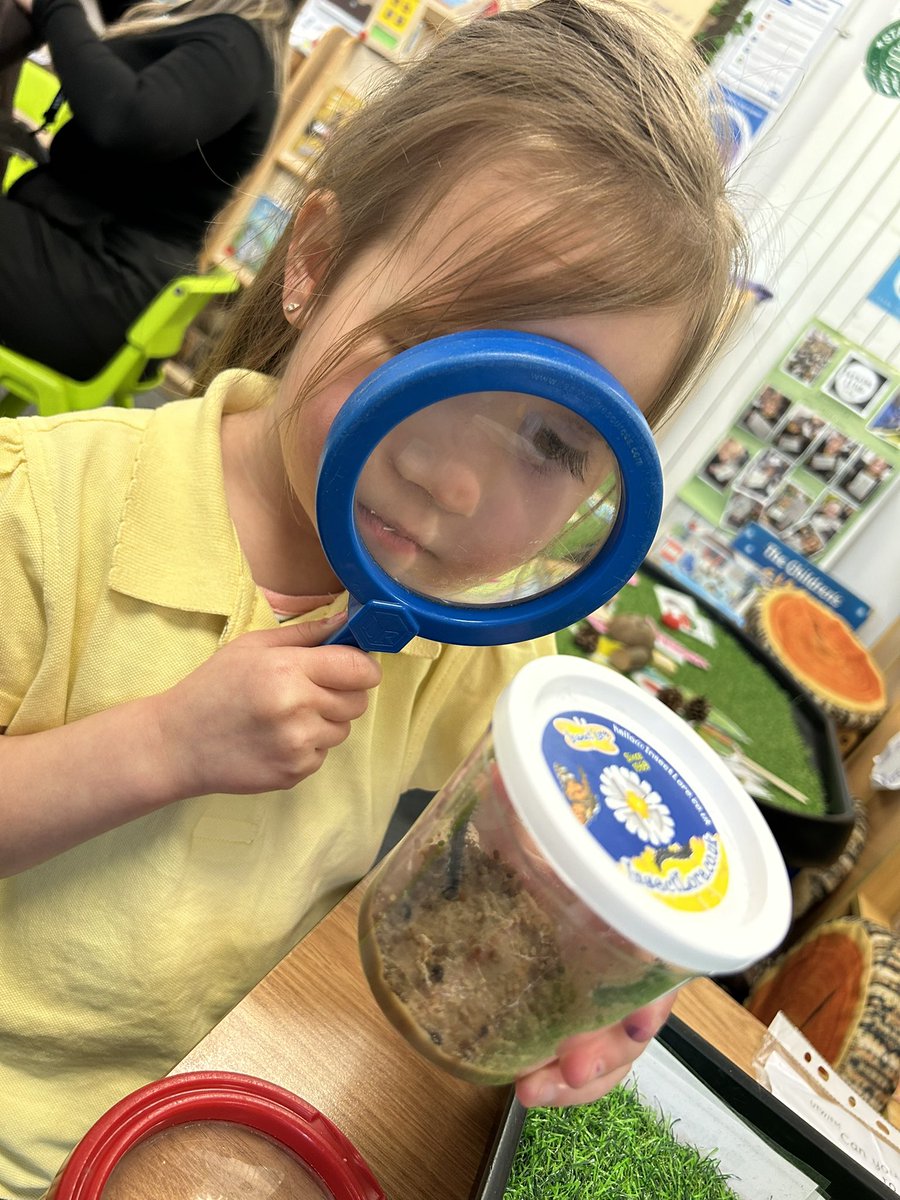 EastfieldPSHull's tweet image. FWK have enjoyed observing our class caterpillars 🐛 we have observed the way they’ve grown and can’t wait to watch them make their cocoons and eventually grow into butterflies 🦋 #epsscience #epsFWK