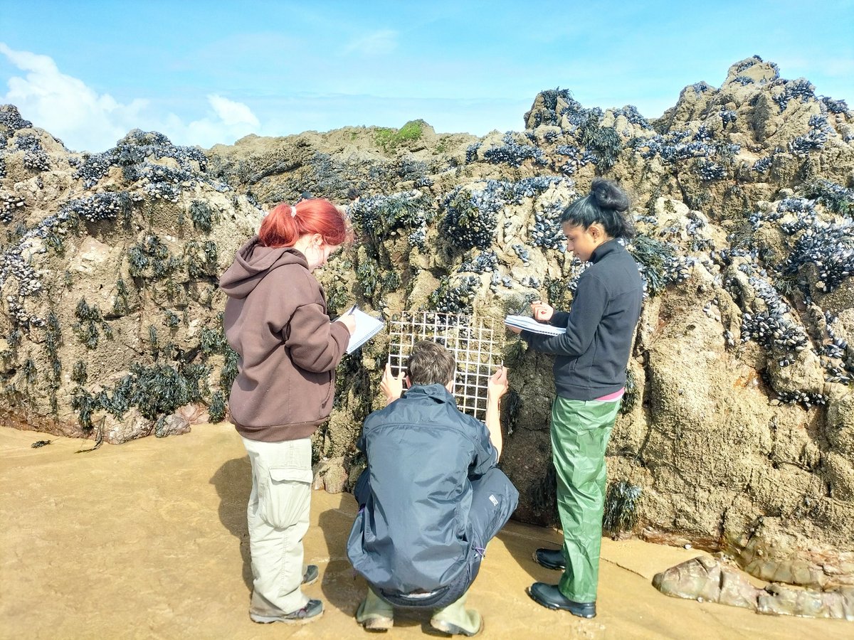 Miriam Reverter tweet media