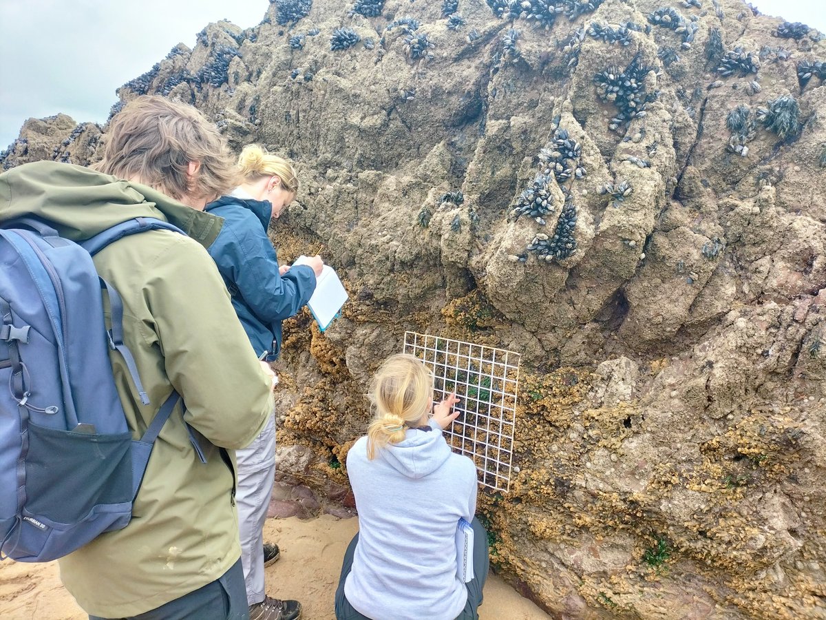 Great 2nd day of our @PlymUni 1st year #marinebiology field course, where students practiced planning experiments and formulating hypotheses, all while learning about the ecology, physiology and behaviour of a range of intertidal species. #plymbio @plymbiolmarsci @MBERC_PlymUni