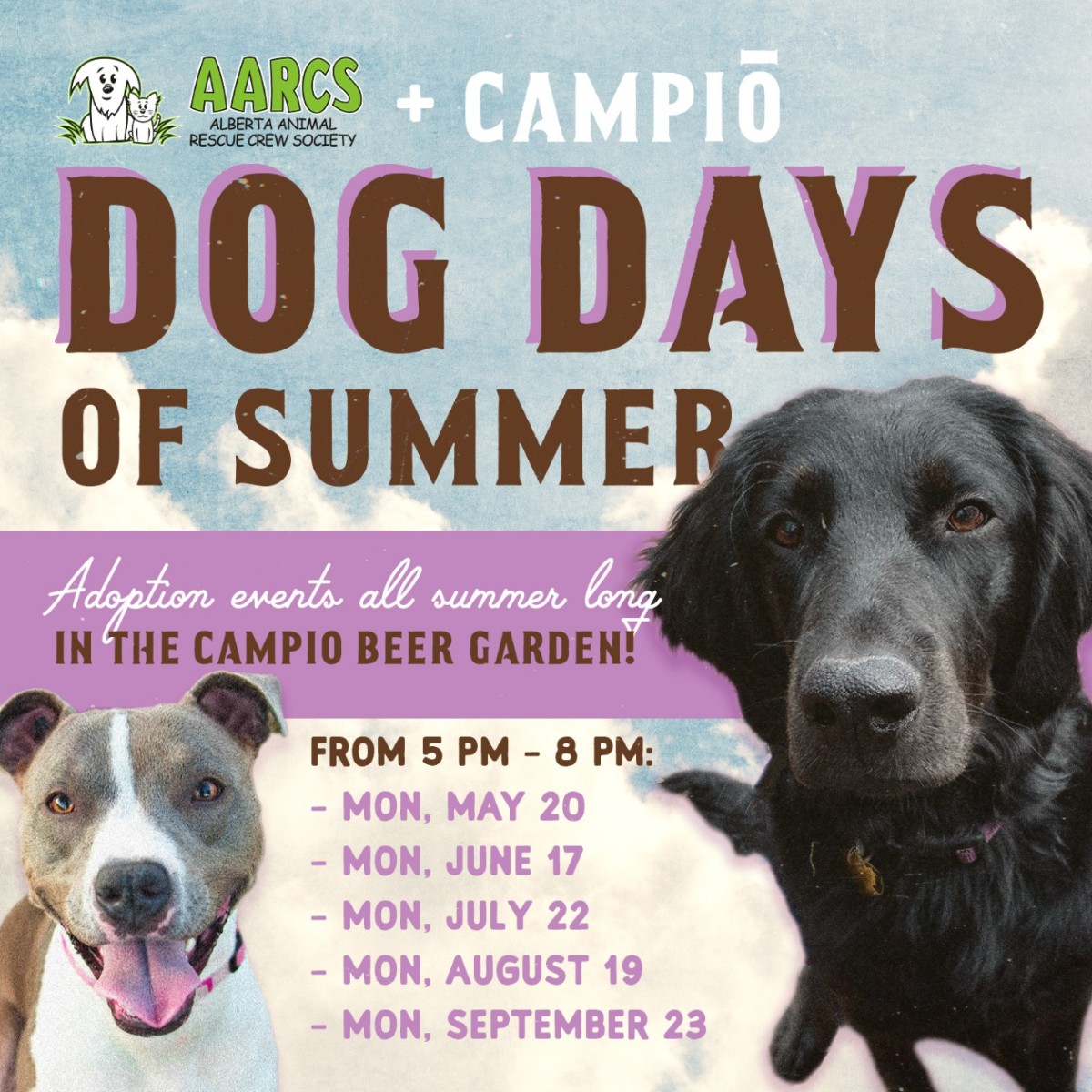 We've teamed up with Alberta Animal Rescue Crew Society (AARCS) to bring you Dog Days of Summer! One evening per month from May - September, AARCS will be onsite with some of YEG's most eligible adoptable dogs! Gather your pals and come on down to meet your new best friend 💛