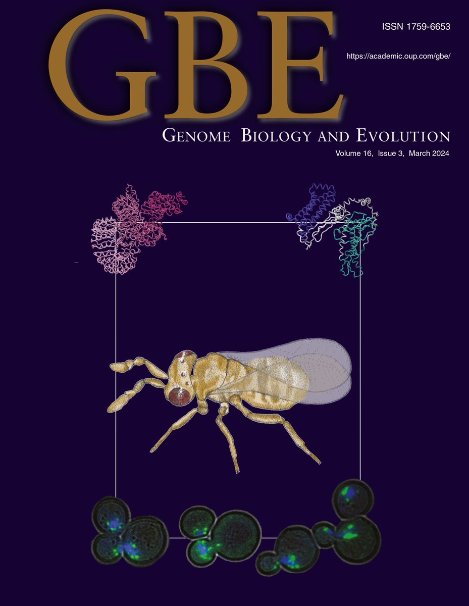 Identification of Parthenogenesis-Inducing Effector Proteins in Wolbachia buff.ly/4avsjyp @Amelia_Lindsey @UMNews @CFANS #science #evolution #biology #genome