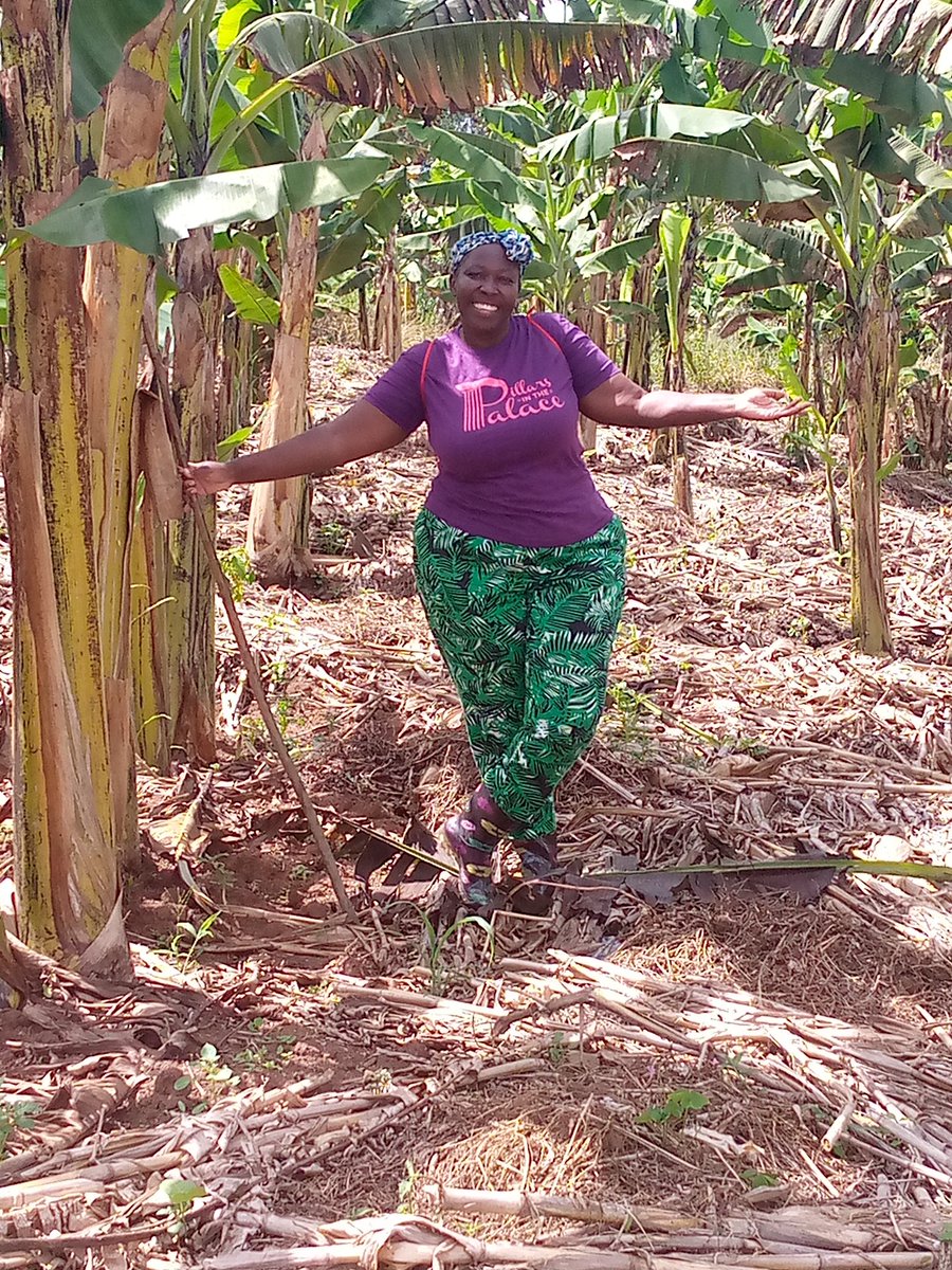CharityByarugab's tweet photo. Farming and parenting. What are you learning from your parents ? What are you teaching your children? Are you participating in generational transformation ? One farm at a time. One family at a time. #farmingisfun https://t.co/s2PxgALwuv