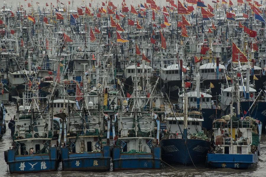 🇵🇪 Solo 8 embarcaciones cuidan los mares de Perú y Ecuador de los buques chinos Cientos de barcos chinos navegan entre Piura y las Islas Galápagos, en Ecuador, atraídos por la pota. 📝Lee la nota de @ConvocaPe 🔗 acortar.link/eDjPXf