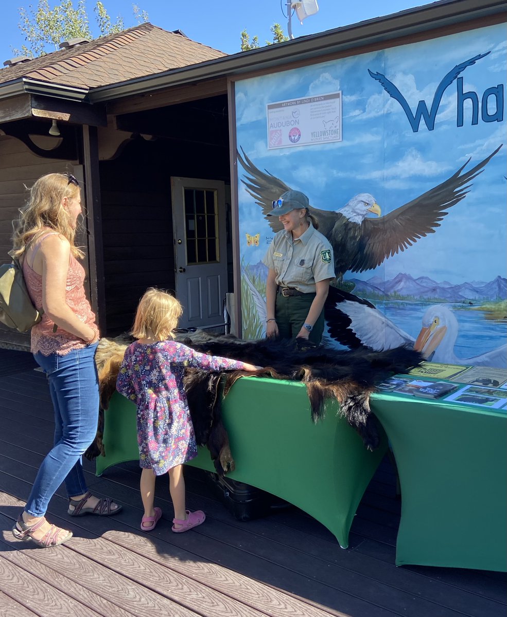 Our Bear Awareness Day is coming up! 

This year it will be Saturday, May 25th ALL day at YWS! Demonstrations in the bear enclosure will take place between 10 and 12 pm. 

Save the date, this is one of the best days to stop by the Sanctuary all year!