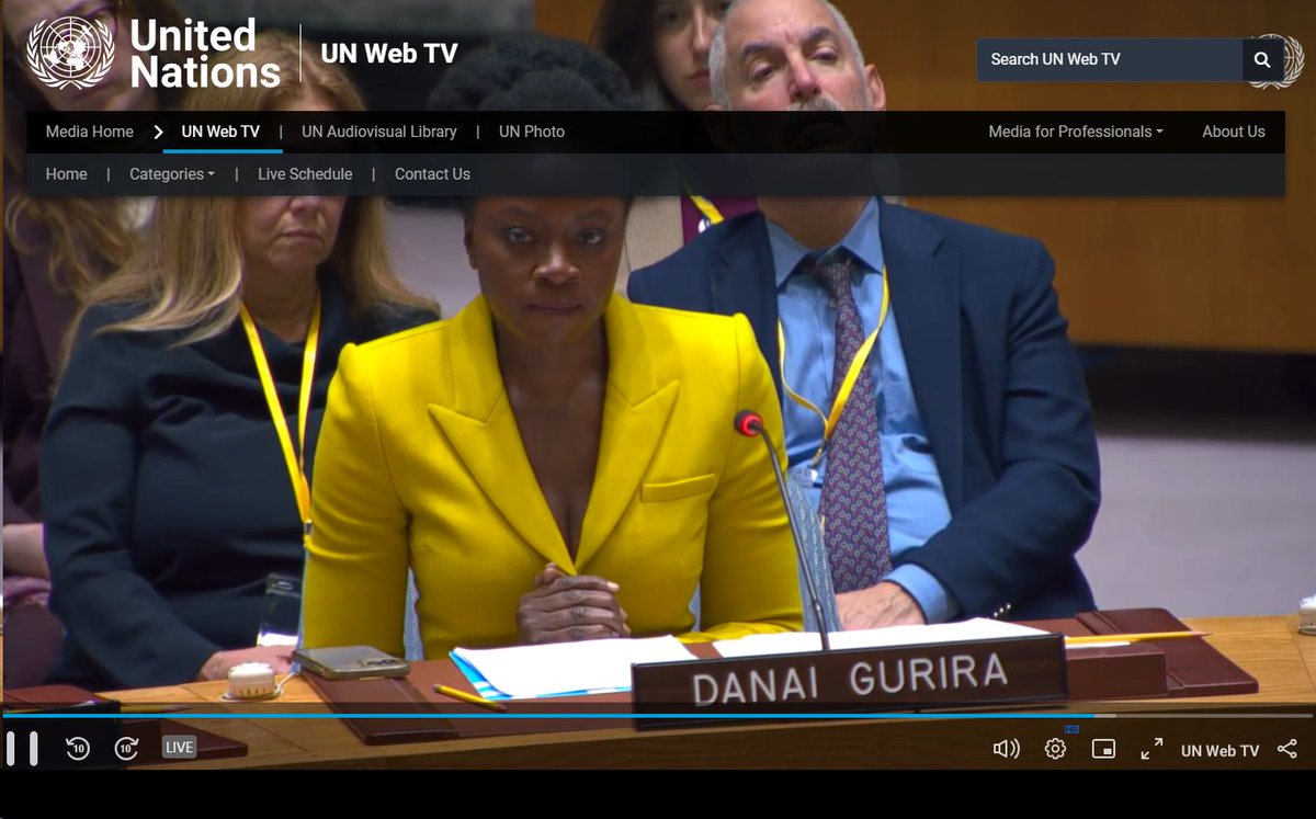 hayleyljd's tweet photo. "Sexual violence is horrifyingly and horrifically embedded in the stage directions of war." Increased focus on sexual violence is fighting against a tide & cannot compete with record weapons sales. SO powerful from @DanaiGurira at #UNSC #CSRV https://t.co/IhRwrdi38M https://t.co/cTmPPhqNAF