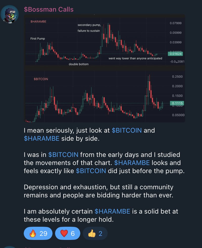 0xBossman's tweet photo. Had been warning of this $HARAMBE pump for AGES. 

The $BITCOIN and $HARAMBE charts were almost identical. 

All up massive now. 

https://t.co/ubFDjXGMDk https://t.co/LilpAUEOu5