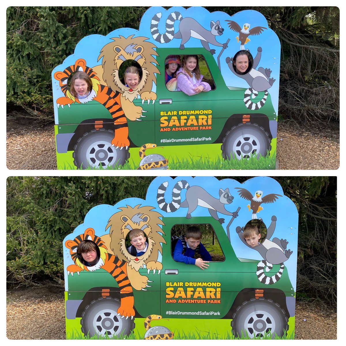 Dechmont Infant Sch tweet media