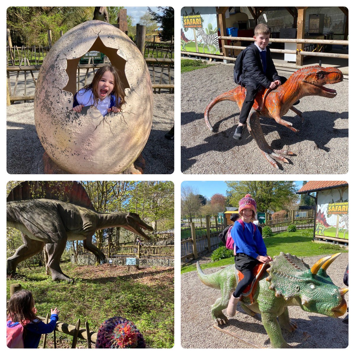 Dechmont Infant Sch tweet media