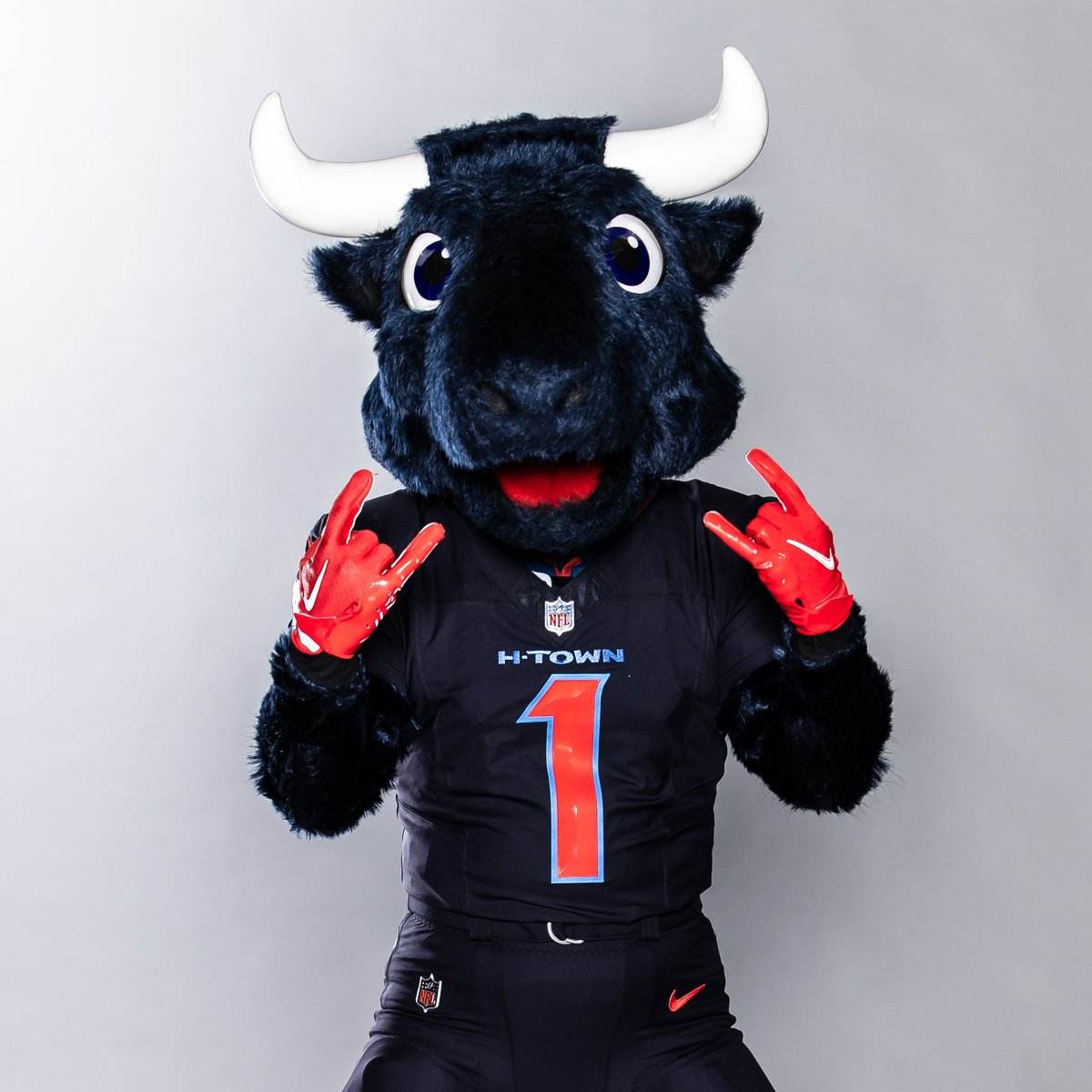 TexansTORO1 tweet picture