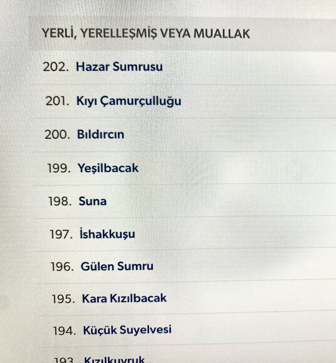 Ali_COBANOGLU_'s tweet photo. 200. Kertik hiç beklemediğim bir tür oldu. @supersonyccaptain’in dikkatini çekince gördük. Alımlı, çalımlı bir birey. Bir ara arkasına bir bakış attı ve kayboldu, 2 kare ancak çekebildik.
BILDIRCIN
Common Quail
#trakus #bird #birdsonearth #1x #quail #commonquail https://t.co/PH1uu84Vcv