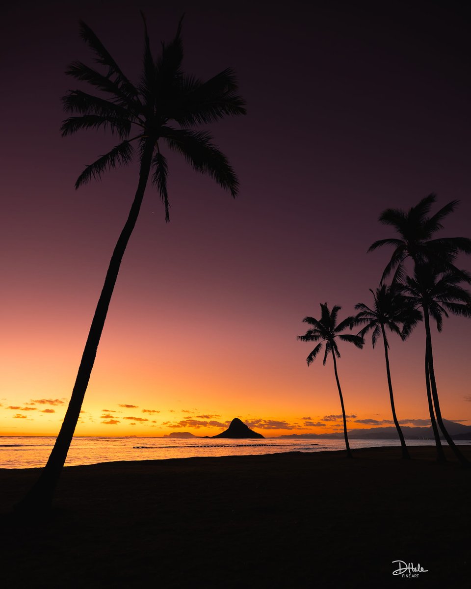 Evening in Oahu, Hawaii