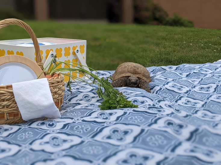 This weather has me daydreaming about warmer days touring historic homes and picnics with friends. museum.novascotia.ca/our-museums #NovaScotia #NationalPicnicDay