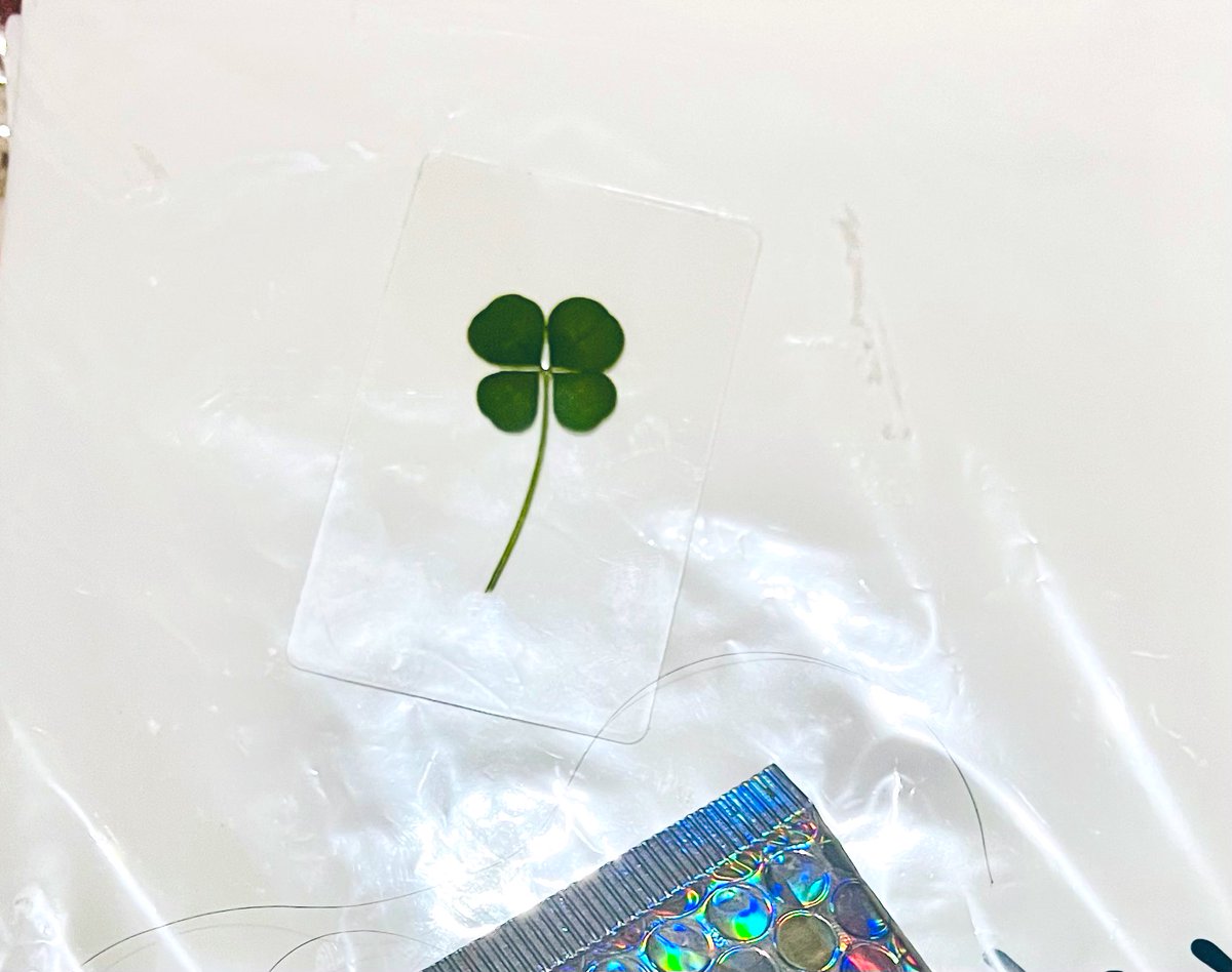 JayInfinit8's tweet photo. 안녕..
ดีใจจัง ได้มาแล้ว 🍀
#ใบโคลเวอร์ #클로버잎 #leafclover https://t.co/1im0HvupIB