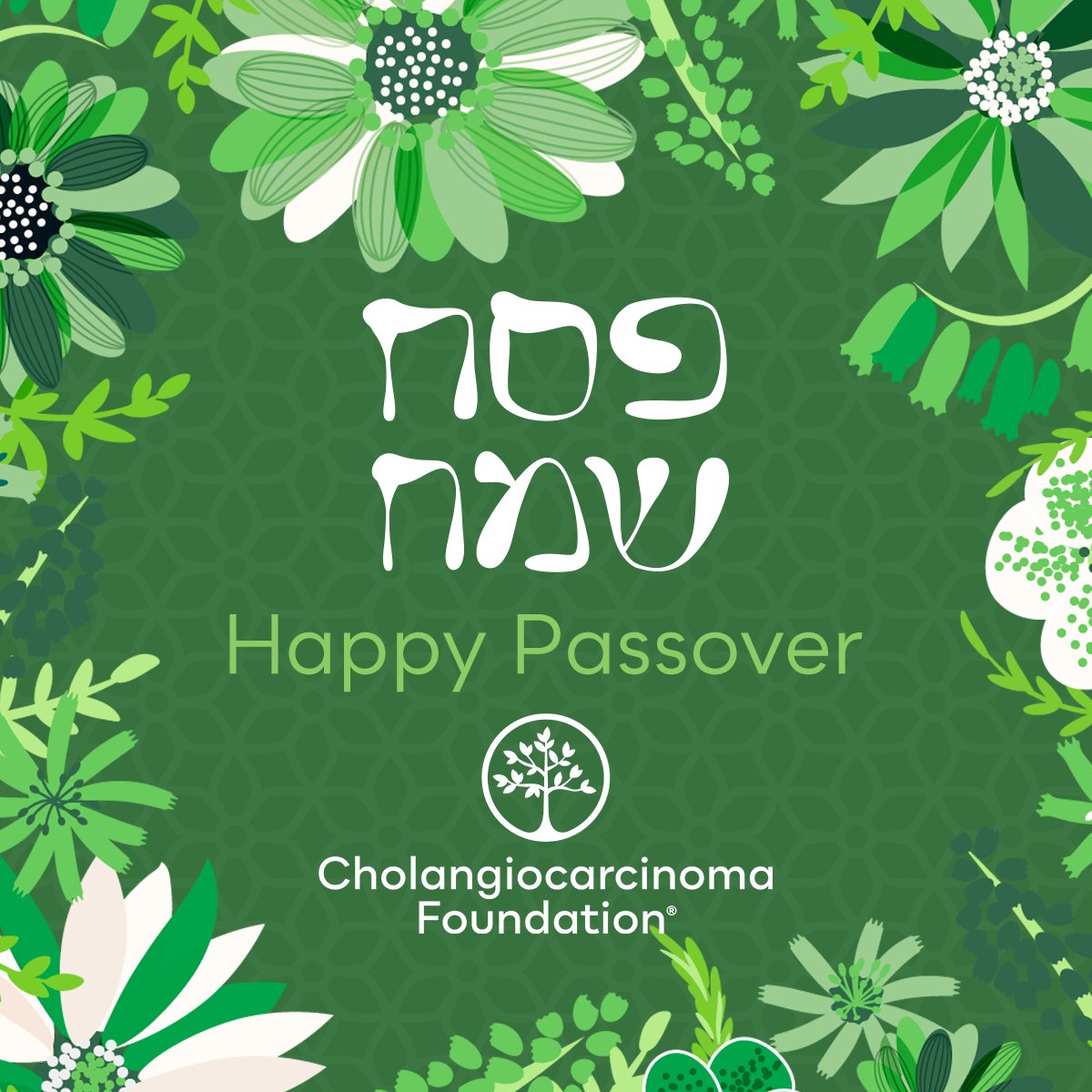 We wish all who celebrate, a Passover filled with joy and love. ✨💚