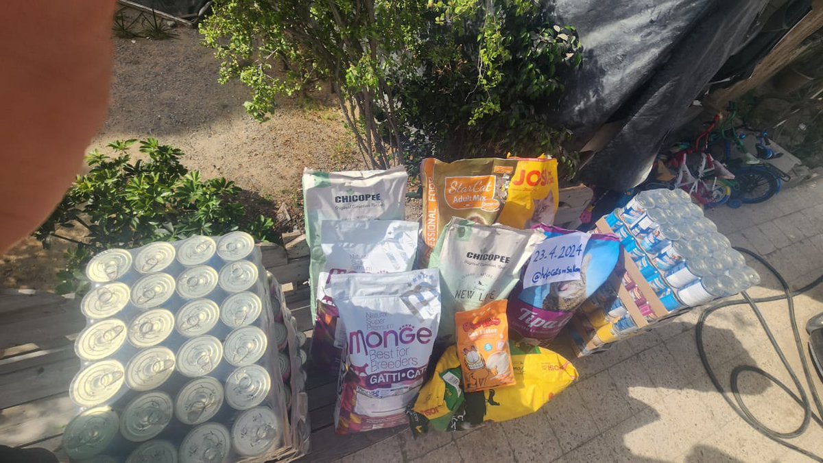 helpcatsmsallam's tweet photo. My friends and loved ones..

I was overwhelmed by your generosity and was able to buy food for the cats.

As you know, the process of searching for food for cats is a very arduous matter, especially since they do not allow animal food as part of the humanitarian aid that has recently entered.

So we are unfortunately forced to buy from the black market at very ridiculous amounts of up to 10 times the basic price..
Also, there is not a drop of fuel here.. and all the streets are destroyed here in Gaza.. so I had to transport all this food in carts.
Yes, there is suffering.. Yes, there is difficulty.. But believe me, I feel that I have achieved something great
The most heartbreaking thing is to have to fulfill your tasks and duties and live as if nothing happened😔🥺

Believe me.. you are the reason for their happiness.. Without you I can't do this.. So I am grateful to you for your gifts and generosity, my friends

Now I feel relieved.. They have enoprobablythem for at least two months..

I will probably leave Gaza next week.

So I will leave feeling somewhat relieved.
My friends and dear ones. 200 days have passed since this war... It is not a war.. it is a massacre.. it is a mass murder.. it is too horrific to describe.. We are extremely disappointed with what is happening.

After relative calm in the north... here they are back again in Beit Hanoun, Jabalia, Al-Shuja'iya neighborhood, and Al-Zatoun neighborhood... All these areas are somewhat far from me, but I hear the sounds of explosions and shelling clearly.

I monitor the travel lists every day .. and it is expected that my name will be included next week.. I will keep you informed when my name is included
Your support helps me a lot to get through this period. It helps me cover some travel expenses
https://t.co/4HGeWVpT8V
I am grateful to everyone who stood by me and supported me morally, financially and psychologically. I am grateful to everyone who asked about me and checked on me
