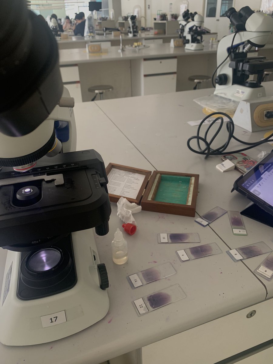 it’s pie ⸱̼ ᵕ ⸱̼ ᷅ ♡̷ tweet media