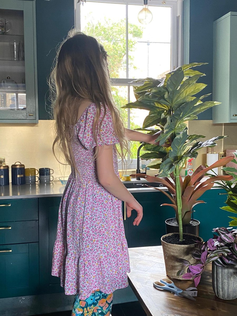 I've been updating the plants at Ballarat House, with the help of my daughter.

We've had a combination of real and fake plants over the years, but the real plants never seem to fare well over a longer period... so I'm gradually transitioning to more fake plants.

#margate