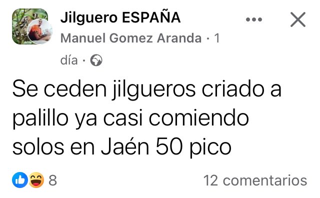 Es decir, ha robado un nido de jilguero en el campo y vende cada pollo a 50€. Por supuesto, tiene compradores y los venderá. Esto, en una red social, a la vista de cualquier persona. Denunciarlo es algo draconiano y vista la impunidad, las autoridades no están ni se les espera.