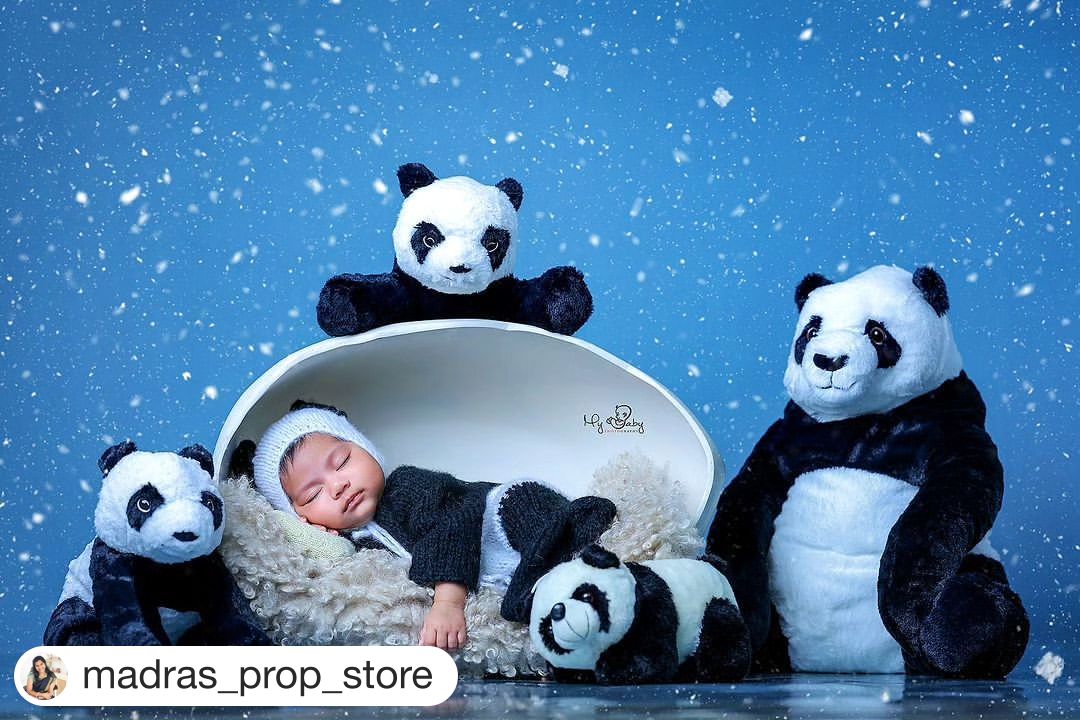 Beautiful picture by @mybaby__photography
.
Our Panda Outfit for Newborn 1449 INR in use 
.
.
#babyphotography #baby #newbornphotography
#babygirl #babyboy #newborn #photography
#newbornphotographer #babiesofinstagram
#babylove

#vintage #babyshower
#newbornsession