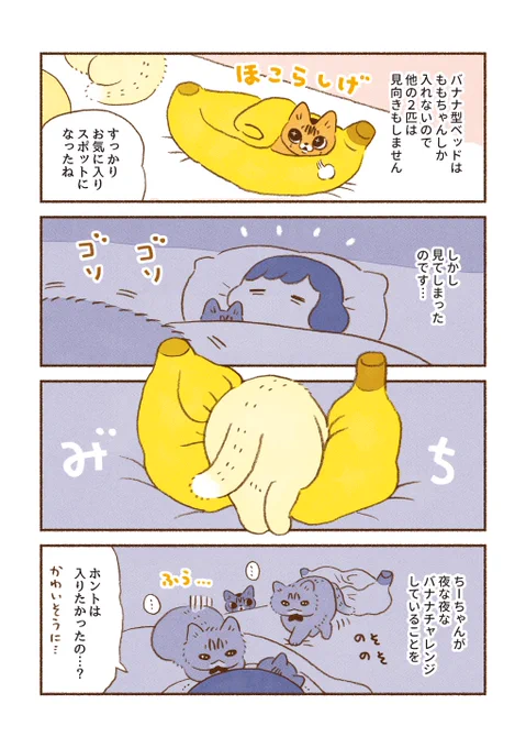 「バナナチャレンジ」

この後めちゃくちゃ撫でてあげました🐱 