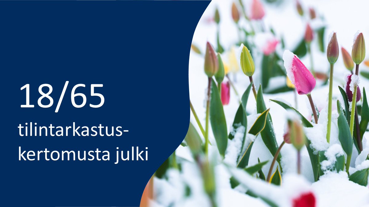 Olemme tarkastaneet seuraavat tilinpäätökset: 🦺Sosiaaliturva-asioiden muutoksenhakulautakunta 🕵️@Suojelupoliisi 🐻@Verouutiset 📈@Tilastokeskus Kevään aikana julkaisemme vielä 47 tilintarkastuskertomusta 👉vtv.fi/julkaisut/valt… #tilintarkastus #valtiontalous