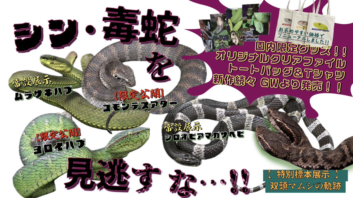 いよいよ明日からGW期間が始まります。4/27(土),28(日),5/5(日)は