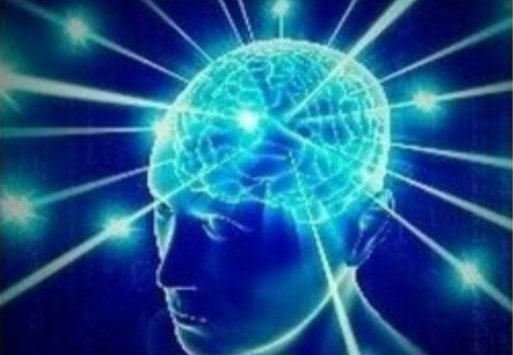 hellofwinnie tweet picture