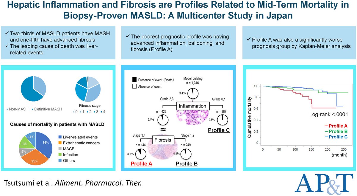 Read: 'Hepatic inflammation and fibrosis are profiles related to mid-term mortality in biopsy-proven MASLD: A multicenter study in Japan' at bit.ly/44dWtUy #livertwitter #MASLD #MASH #fibrosis