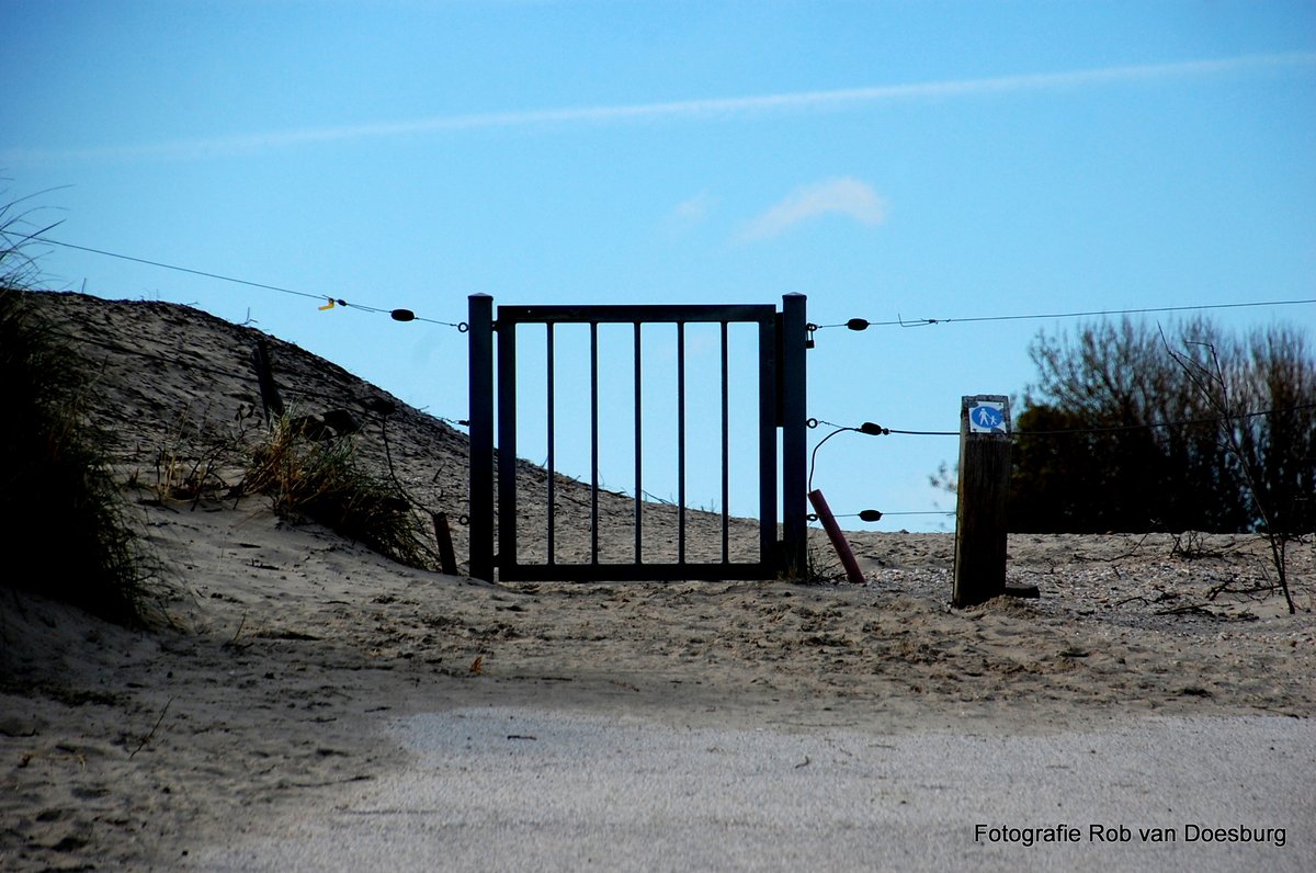 Today's Walk ! #HappyTuesday #TwitterArt #Photography #Fotografie